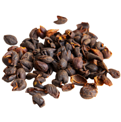 Cascara